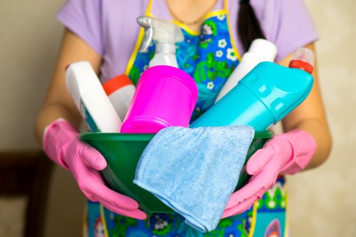 Professional carpet cleaning introduction for Fortis Green Carpet Cleaners