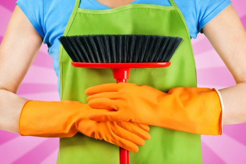Professional stain removal for carpets in Fortis Green