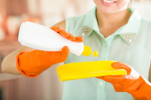 Eco-friendly carpet cleaning process in a fresh home setting