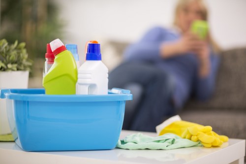 Supplier audit and due diligence process for carpet cleaning operations