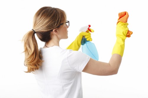 Odour removal treatment for pet accidents in a Fortis Green home