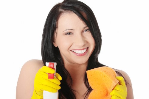 Modern carpet cleaning process in a residential interior