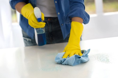 Keyboard navigation focus on an accessible carpet cleaning webpage